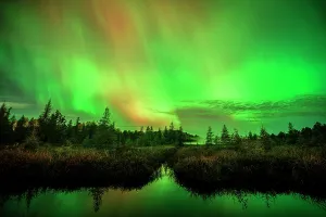 Aurora Borealis Prints: Aurora and autumn wetland, Greater Sudbury, Ontario, Canada