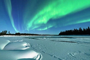 Climate Collection: Aurora Borealis in the bright night sky over a frozen forest covered with snow after a blizzard