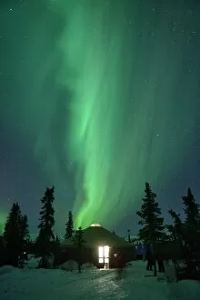 Alaska Gallery: Aurora Borealis at Chena Hot Springs, Fairbanks, Alaska, USA
