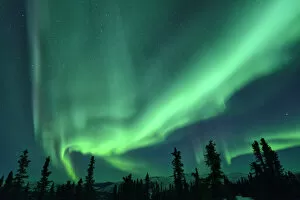 Images Dated 2nd May 2014: Aurora Borealis at Chena Hot Springs, Fairbanks, Alaska, USA