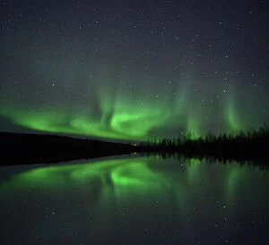 Silhouette Collection: Aurora Borealis, Fairbanks, Alaska, USA