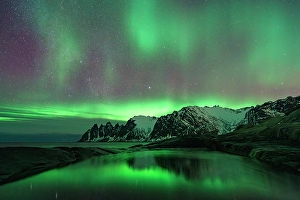 Aurora Borealis Prints: Aurora Borealis over snowcapped mountains, Tungeneset, Senja, Troms, Norway