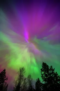 Aurora Borealis Prints: Aurora display, Greater Sudbury, Ontario, Canada