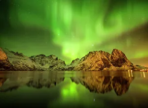 Aurora Borealis Prints: Aurora Reflecting in Fjord, Hamnoy, Lofoten Islands, Norway