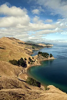Australasia, New Zealand, South Island, French Pass