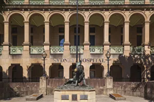 Australia, New South Wales, NSW, Sydney, Sydney Hospital, statue of the boar Il Porcellino
