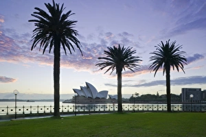 Australia, New South Wales, Sydney, Sydney Opera House through palms