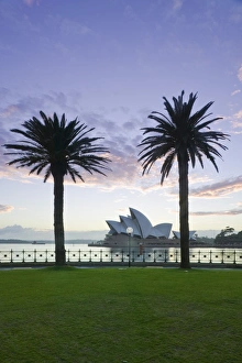 Australia, New South Wales, Sydney, Sydney Opera House through palms
