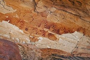 Images Dated 2009 February: 20 Feb 2009