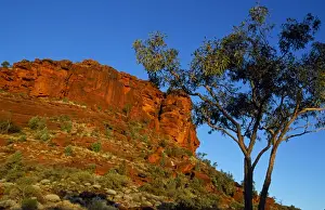 Sun Light Prints: Australia, Northern Territory, Finke Gorge National Park