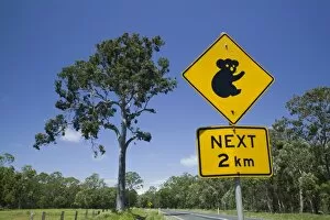 Australia, Queensland, Fraser Coast, Maryborough, Koala Crossing Sign on the Bruce Highway