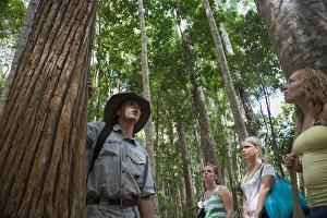 Australia, Queensland, Fraser Island