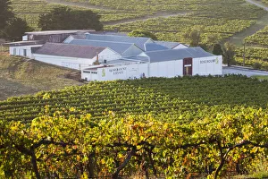Australia, South Australia, Fleurieu Peninsula, McLaren Vale Wine Region, McLaren Vale