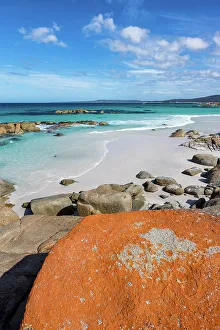 Tasmania Prints: Australia, Tasmania, Bay of Fires
