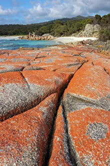 Tasmania Prints: Australia, Tasmania, Bay of Fires