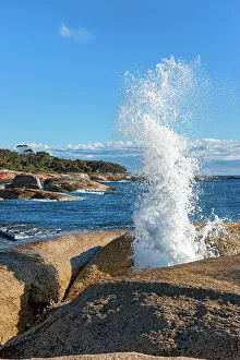 Tasmania Prints: Australia, Tasmania, blowhole near Bicheno town