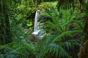 Australia, Tasmania, Central Highlands, Mount Field National Park, Russel Falls