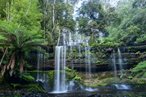 Australia, Tasmania, Central Highlands, Mount Field National Park, Russel Falls