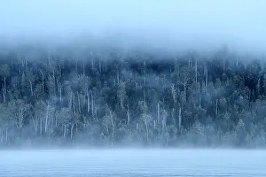 Australia, Tasmania, Cradle Mountain, Lake St Clair National Park, lifting fog