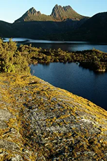 Lichen Prints: Australia, Tasmania, Cradle Mountain, Lake St Clair National Park, Dove lake
