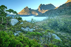 Eucalyptus Prints: Australia, Tasmania, Cradle Mountain, Lake St Clair National Park, Dove lake