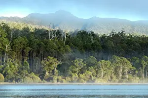 Down Under Prints: Australia; Tasmania; Cradle Mountain; Lake St Clair National Park;