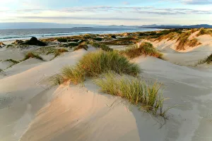 Conservation Area Prints: Australia, Tasmania, East Coast, Bay of Fires, Conservation area