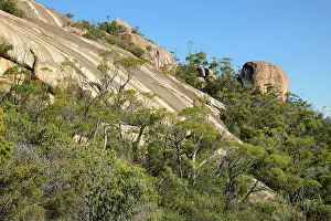 Coles Bay Prints: Australia, Tasmania, East Coast, Coles Bay, Freycinet National Park, Mount Amos
