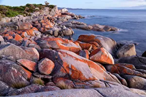 Conservation Area Prints: Australia, Tasmania, East Coast, Bay of Fires, Conservation area