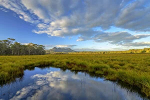 Images Dated 27th March 2018: Australia, Tasmania, Franklin-Gordon Wild Rivers National Park