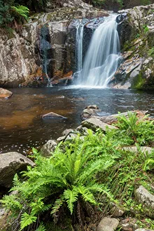 Tasmania Prints: Australia, Tasmania, Groom river, Halls falls