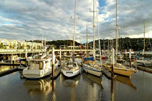 Tidal Prints: Australia, Tasmania, Launceston, Marina