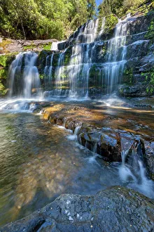 Tasmania Prints: Australia, Tasmania, Liffey Falls