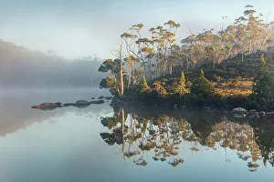 Tasmania Prints: Australia, Tasmania, Mount Field National Park, Lake Dobson