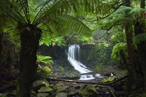 Water Fall Gallery: Australia, Tasmania, Mt Field National Park. Horseshoe Falls