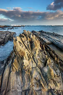 Tasmania Prints: Australia, Tasmania, Tarkine coast