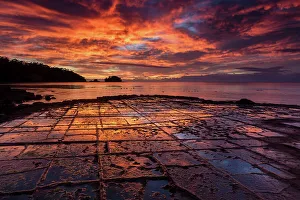 Tasmania Prints: Australia, Tasmania, Tasman Peninsula, Tessellated Pavement