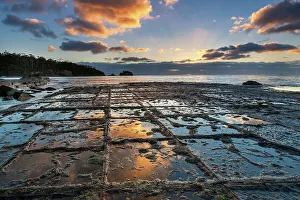 Tasman Peninsula Prints: Australia, Tasmania, Tasman Peninsula, Tessellated Pavement