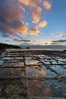 Tasmania Prints: Australia, Tasmania, Tasman Peninsula, Tessellated Pavement