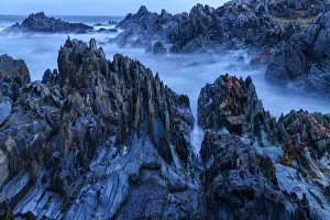 Down Under Prints: Australia, Tasmania, West Coast, the rocky Tarkine Coast