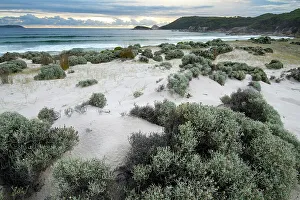 Down Under Prints: Australia, Victoria, Foster, Wilsons Promontory, National Park, Squeaky Beach