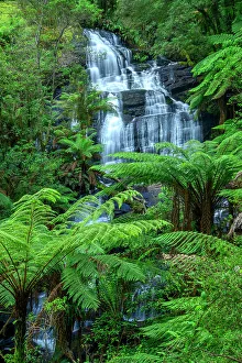Fern Prints: Australia; Victoria; Great Ocean Road, Apollo, Otway National Park, Triplet falls