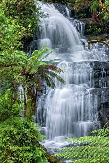 Fern Prints: Australia, Victoria, Great Otway National Park, Triplet Falls