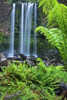 Fern Prints: Australia, Victoria, Great Otway National Park, Hopetoun Falls