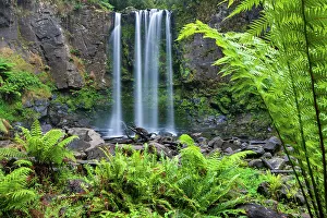 Fern Prints: Australia, Victoria, Great Otway National Park, Hopetoun Falls