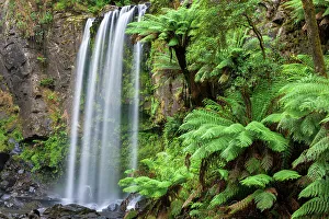 Fern Prints: Australia, Victoria, Great Otway National Park, Hopetoun Falls