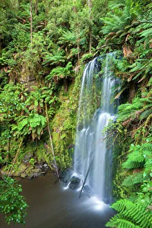 Australia, Victoria, Great Otway National Park, Beauchamp Falls