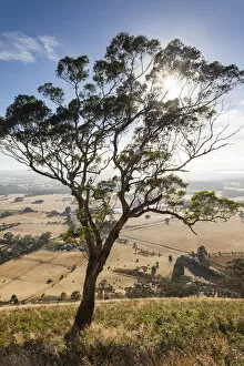 Australasian Gallery: Australia, Victoria, VIC, Buninyong, elevated view of landscape from Mount Buninyong