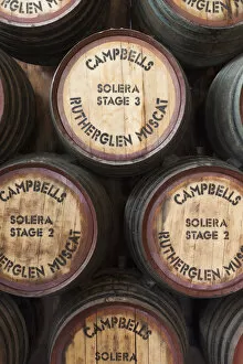 Australia, Victoria, VIC, Rutherglen, Campbells Winery, wine barrels