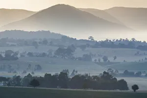 Australia, Victoria, VIC, Yarra Valley, landscape, dawn